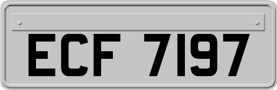 ECF7197