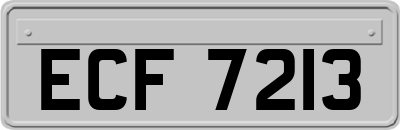 ECF7213