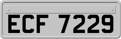 ECF7229