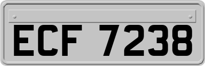 ECF7238