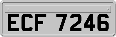 ECF7246