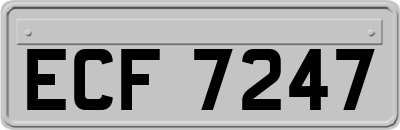 ECF7247