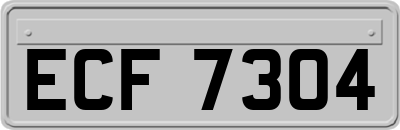 ECF7304