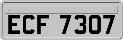 ECF7307