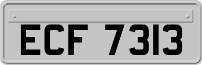 ECF7313
