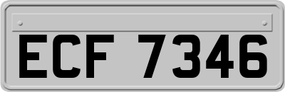 ECF7346