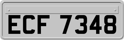 ECF7348