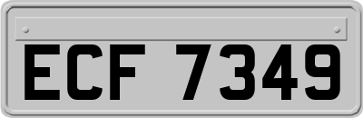 ECF7349