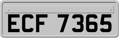 ECF7365