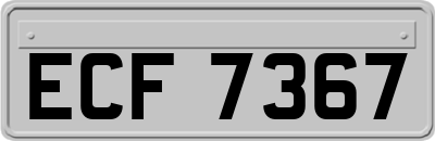 ECF7367