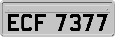 ECF7377