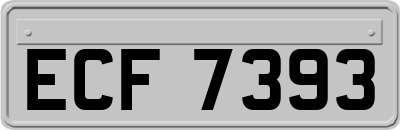 ECF7393