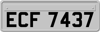 ECF7437