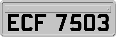 ECF7503