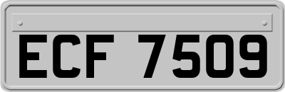 ECF7509