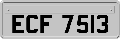 ECF7513