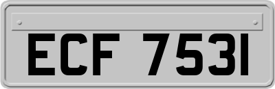 ECF7531