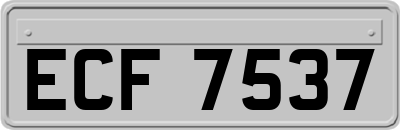 ECF7537