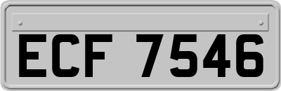 ECF7546