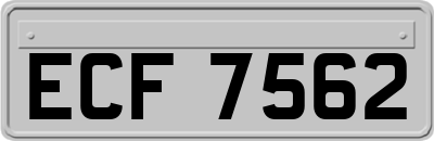 ECF7562