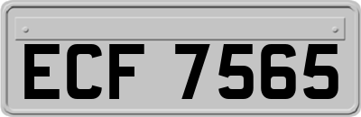 ECF7565