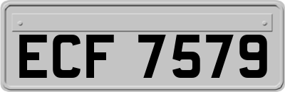 ECF7579