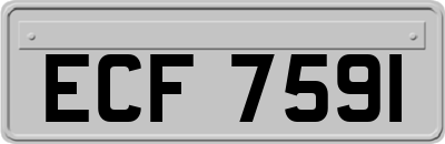 ECF7591