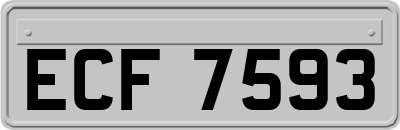 ECF7593