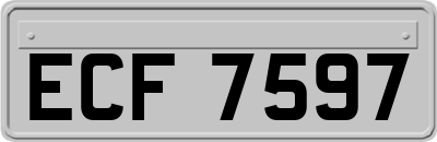ECF7597