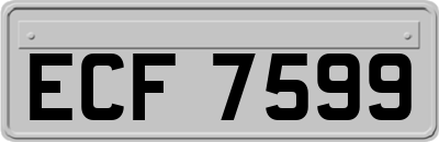 ECF7599