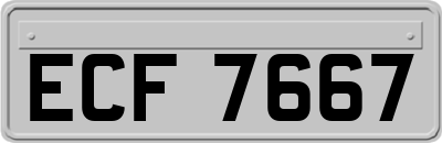 ECF7667