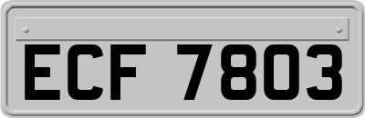 ECF7803