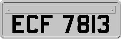 ECF7813