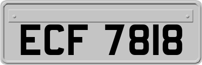 ECF7818