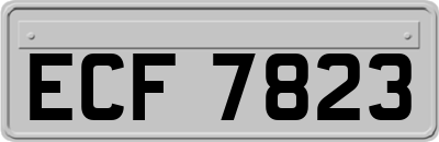 ECF7823