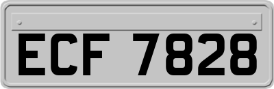 ECF7828