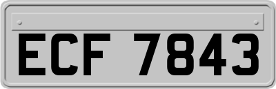 ECF7843