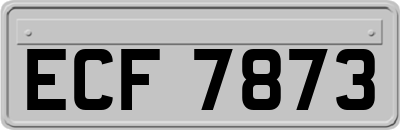 ECF7873