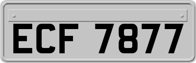 ECF7877