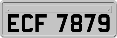 ECF7879