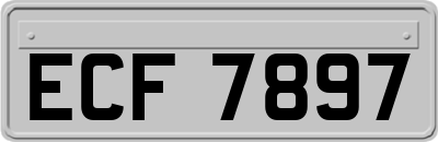 ECF7897