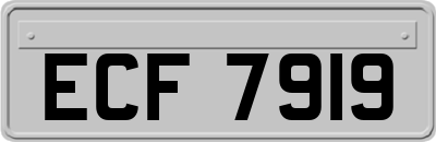 ECF7919