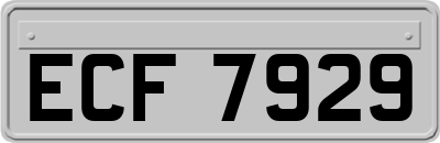 ECF7929