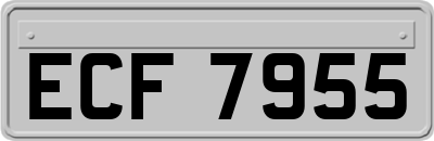 ECF7955