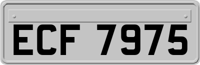ECF7975