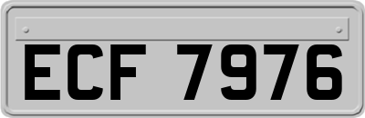 ECF7976