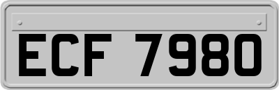 ECF7980
