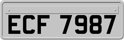ECF7987
