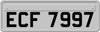 ECF7997