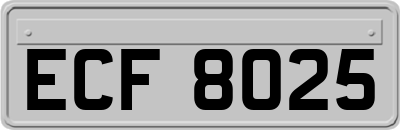 ECF8025